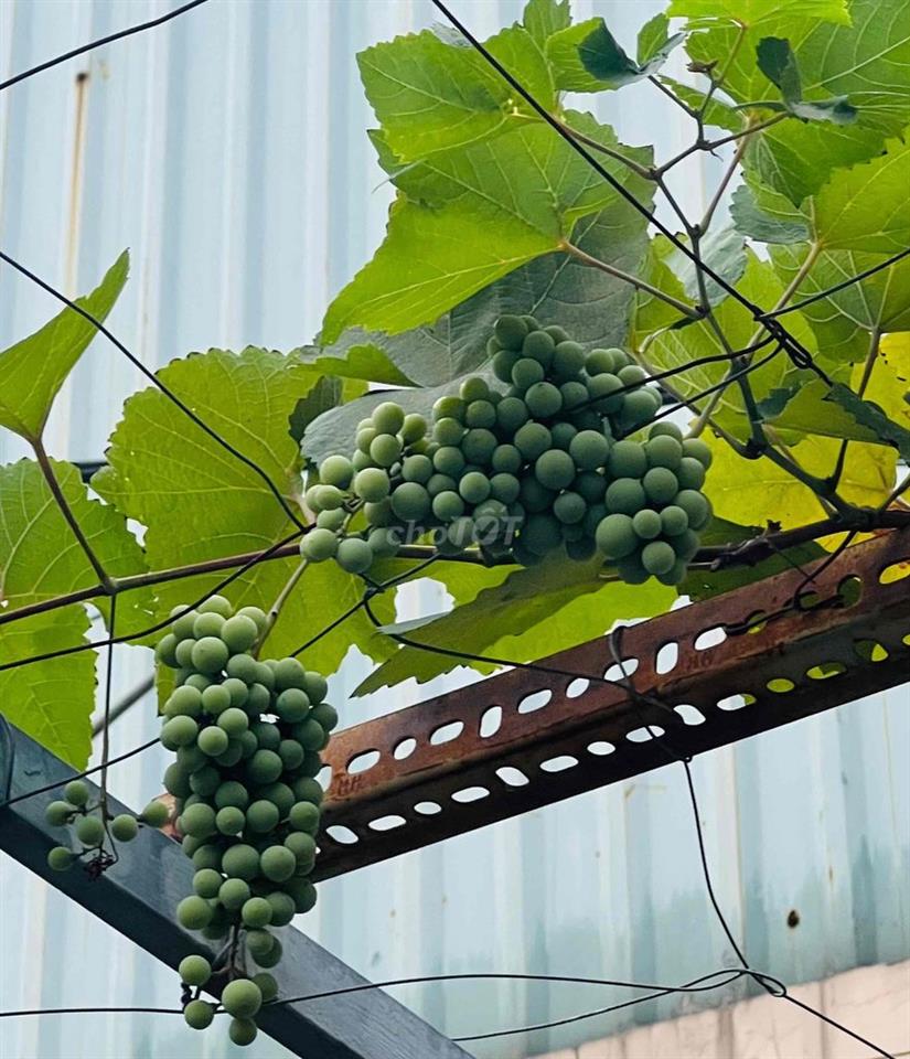 Chính chủ, nhà góc 2 mặt tiền, view kênh thoáng mát, P.Thạnh xuân, Q12