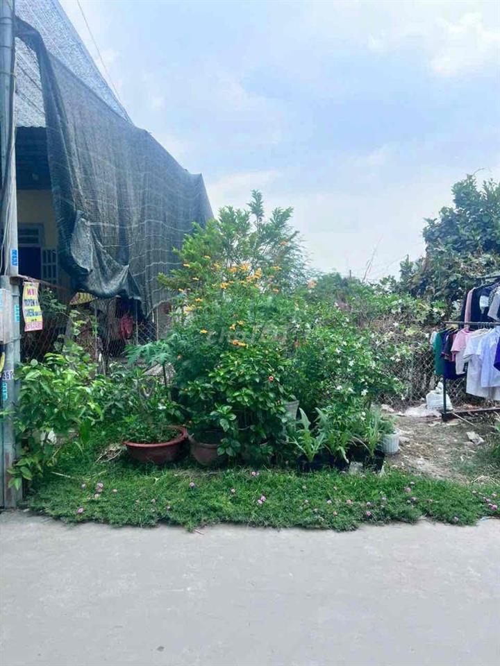 cách đường nguyễn thái học 1 sẹc 50m