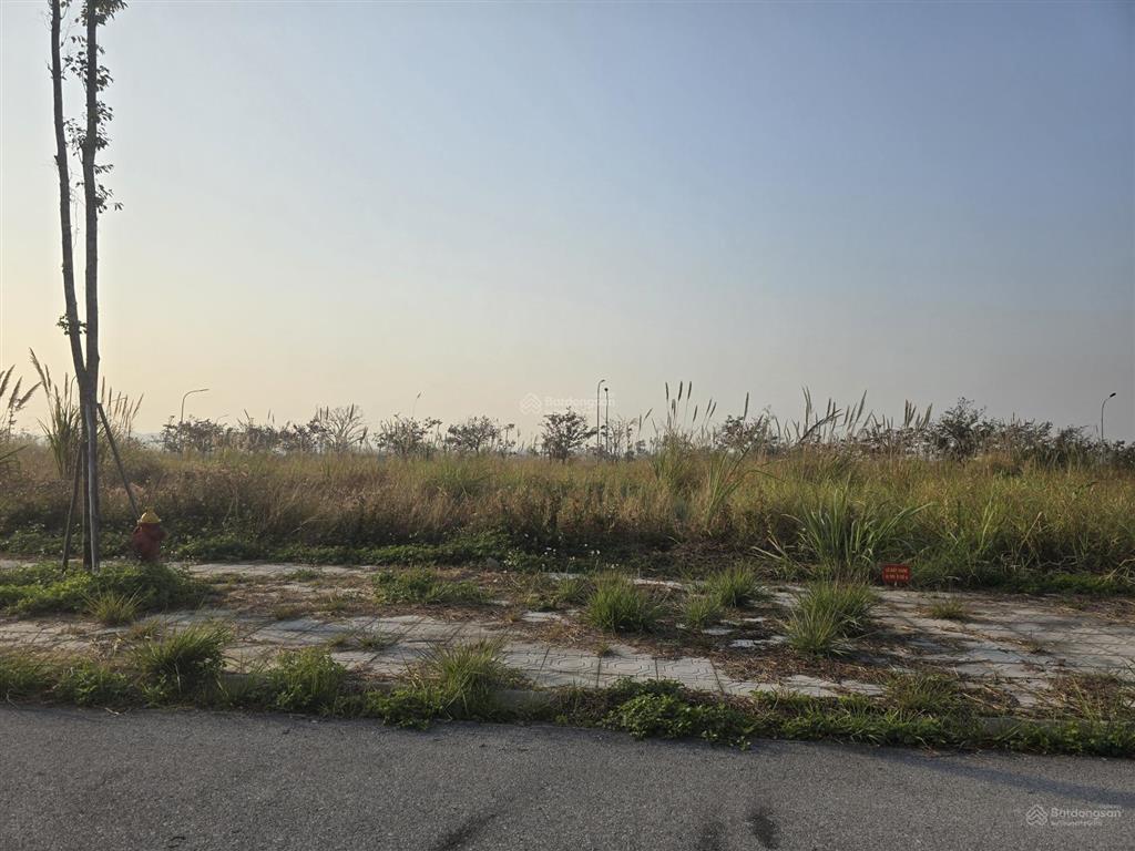 Hàng đẹp,sát vách chung đường cùng vin hạ long xanh 300m2, đầu tư thắng ngay 20% tăng cùng da