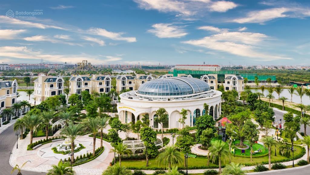 Bán liền kề góc đảo dừa đd01, 132m² giá 20.981 tỷ gần công viên, có nhà để xe, vị trí siêu đẹp