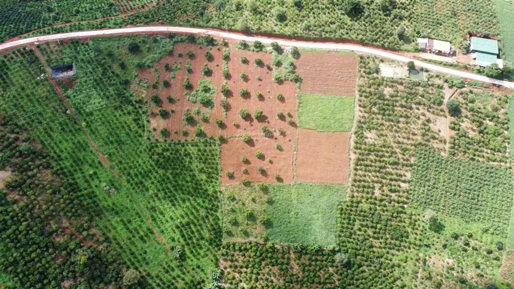 Đất đầu tư nghỉ dưỡng, phân lô view hồ, giáp hồ tại tân thượng di linh giá chỉ 2,6tỷ với dt 4144m2