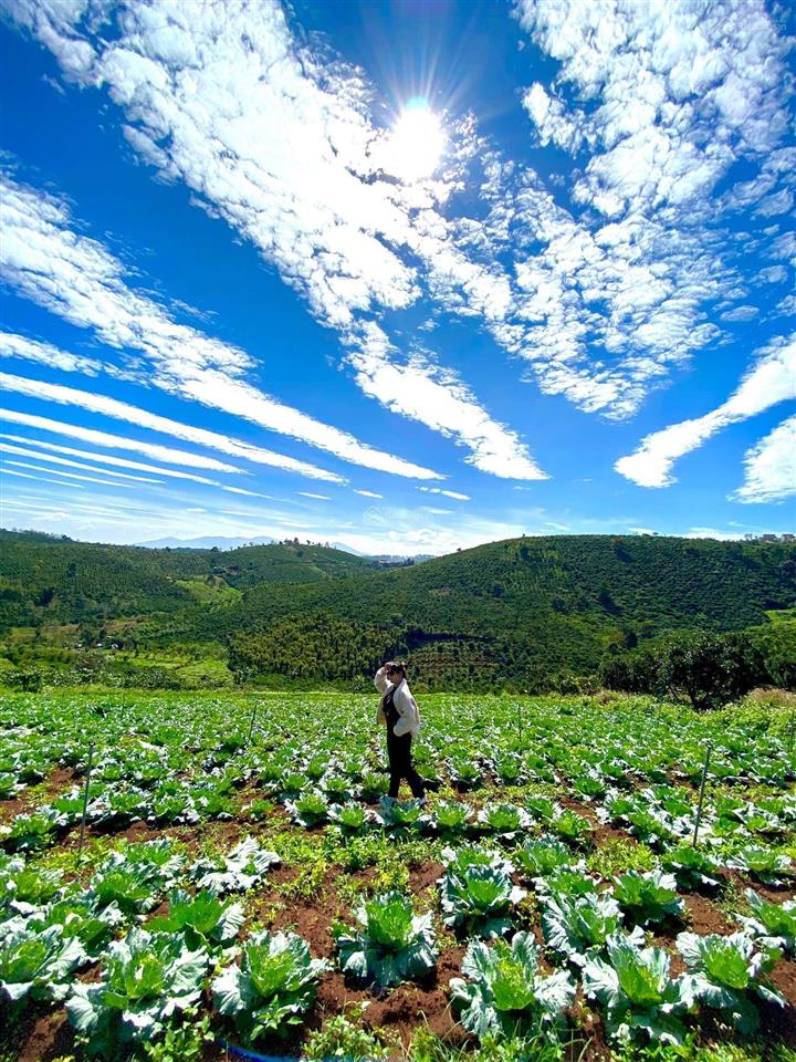 Đất đầu tư nghỉ dưỡng, phân lô view hồ, giáp hồ tại tân thượng di linh giá chỉ 2,6tỷ với dt 4144m2