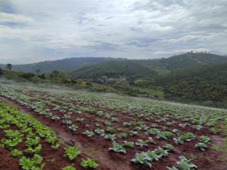 Đất đầu tư nghỉ dưỡng, phân lô view hồ, giáp hồ tại tân thượng di linh giá chỉ 3 tỷ với dt 4144m2