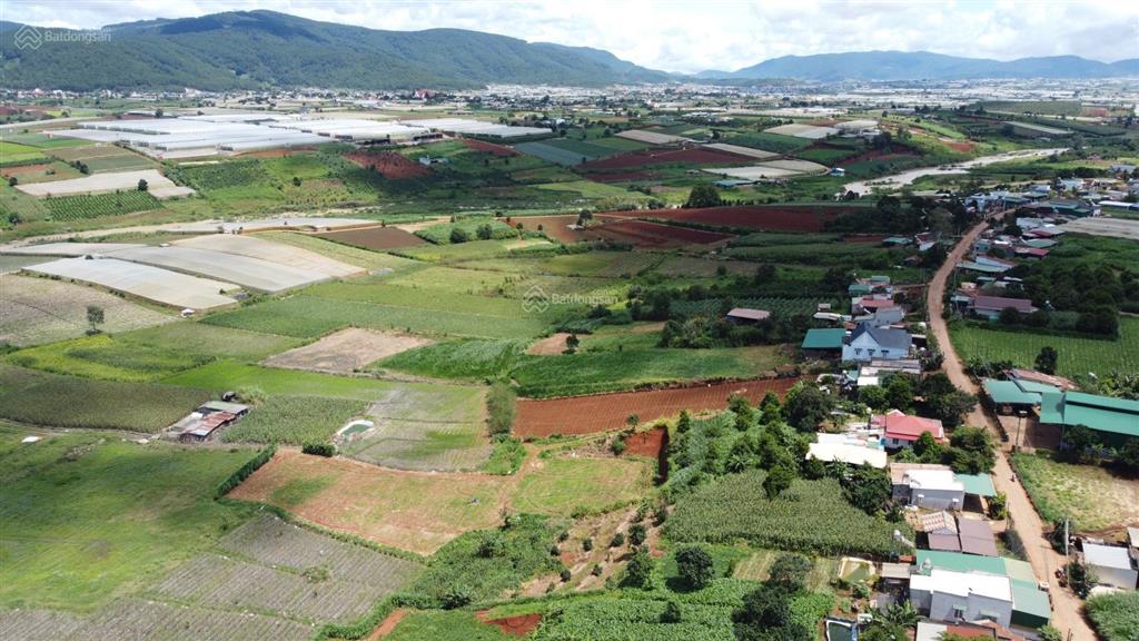 Đất nền 390m2, 100m2 thổ cư, view thoáng, ngay vinamilk đơn dương  cơ hội an cư và đầu tư lý tưởng