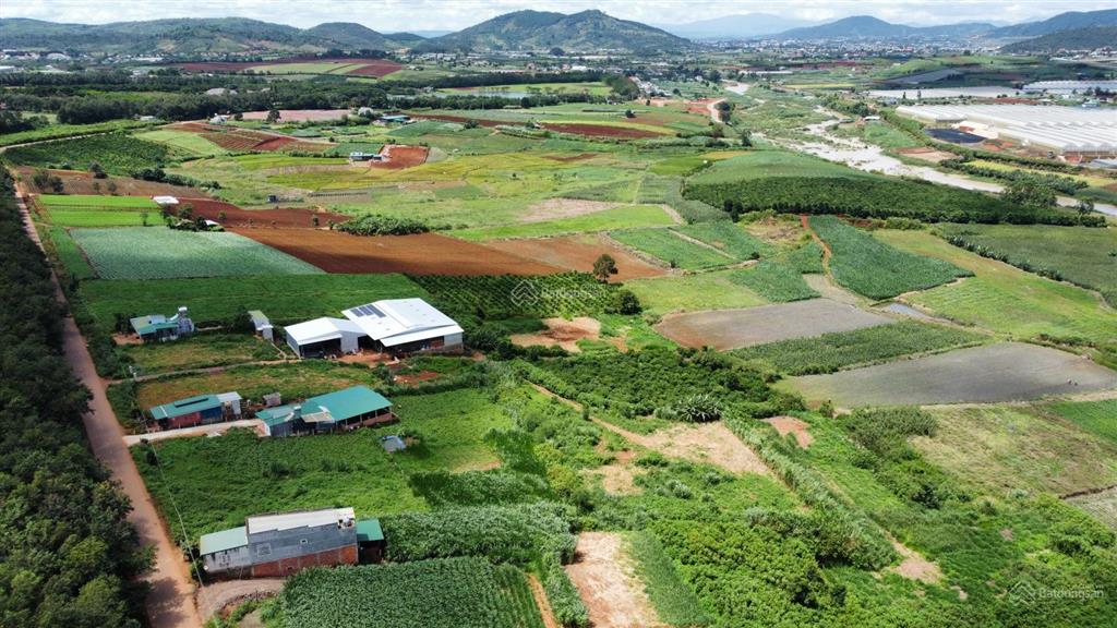 Đất nền 390m2, 100m2 thổ cư, view thoáng, ngay vinamilk đơn dương  cơ hội an cư và đầu tư lý tưởng