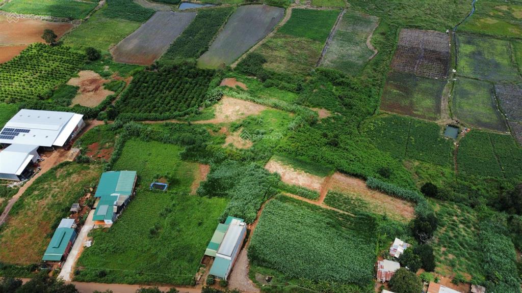 Đất nền 390m2, 100m2 thổ cư, view thoáng, ngay vinamilk đơn dương  cơ hội an cư và đầu tư lý tưởng