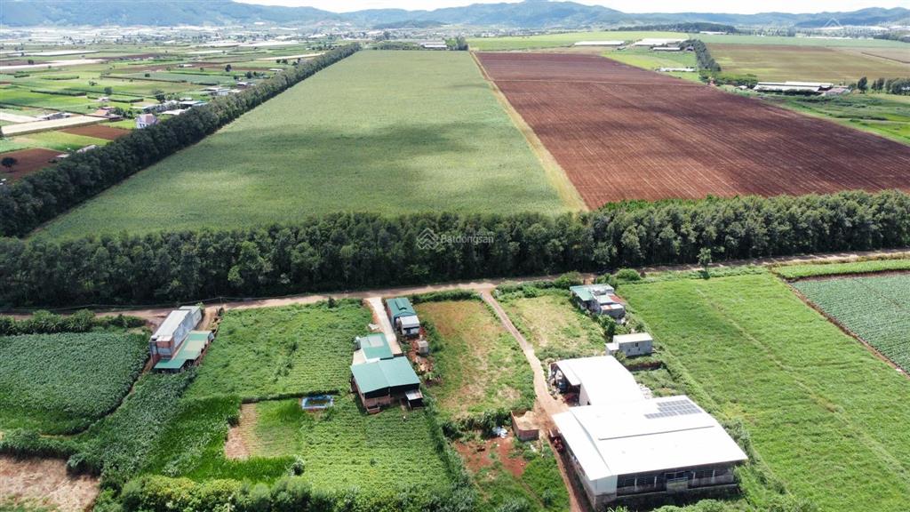 Đất nền 390m2, 100m2 thổ cư, view thoáng, ngay vinamilk đơn dương  cơ hội an cư và đầu tư lý tưởng