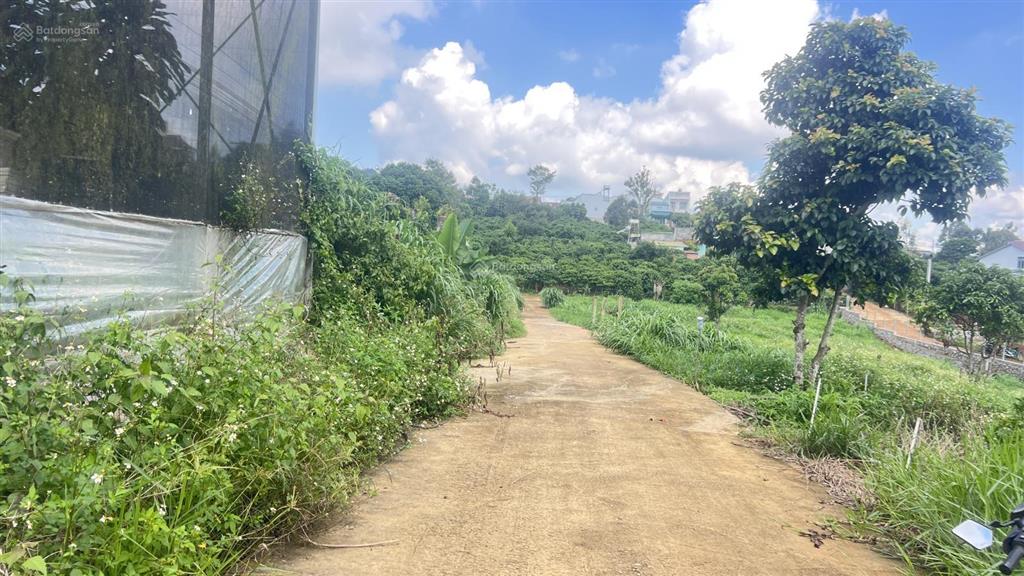 Bán đất quy hoạch thổ cư thích hợp phân lô, nhà vườn