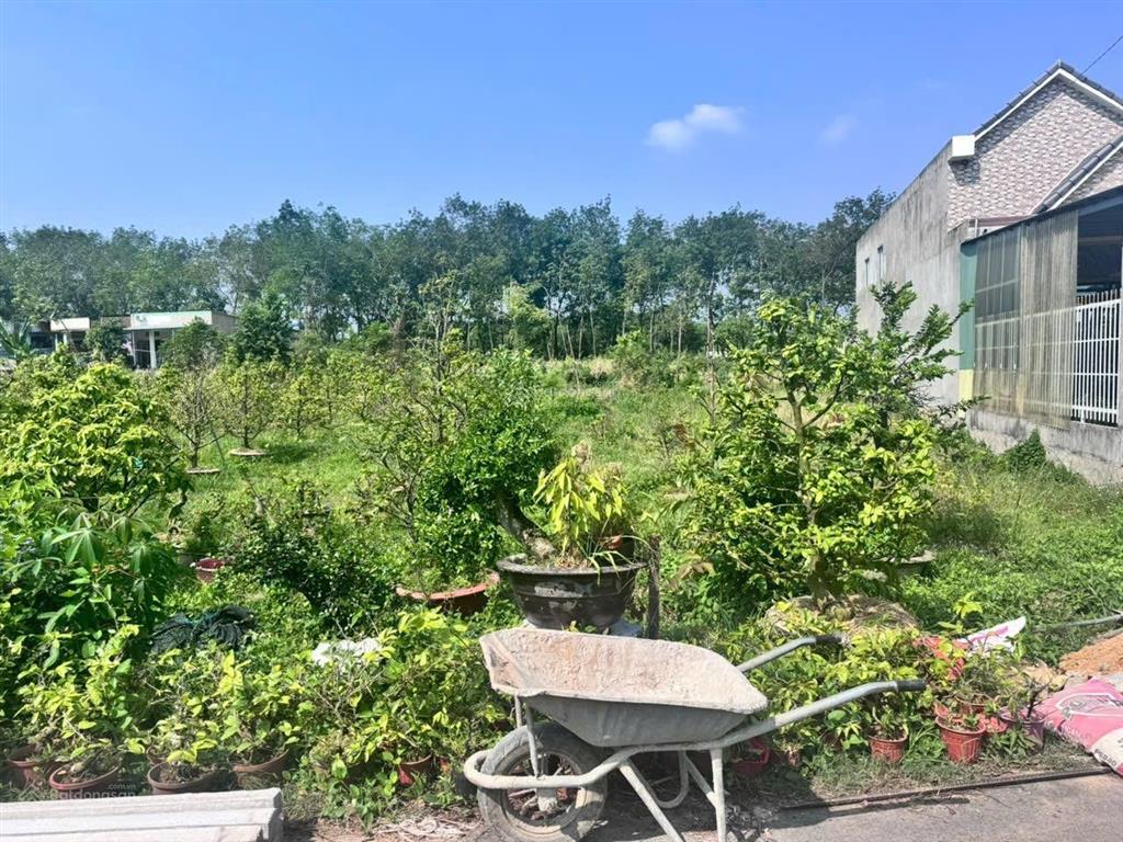 Bán đất tại phường thới hoà tphcm, 328m2 full tc (6x54) giá thỏa thuận, view đẹp hot!