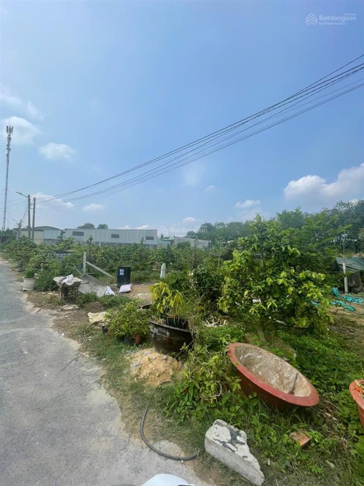 Bán đất tại phường thới hoà tphcm, 328m2 full tc (6x54) giá thỏa thuận, view đẹp hot!
