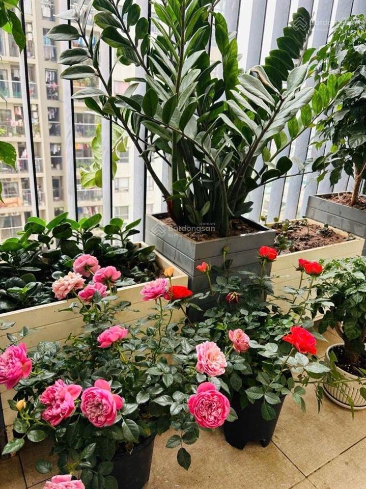 Bán liền kề xuân phương 189m gần trịnh văn bô giá 43 tỷ