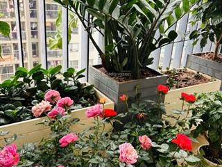 Bán liền kề xuân phương 189m gần trịnh văn bô giá 43 tỷ