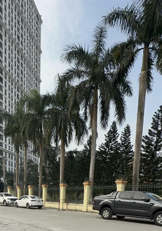 Bán lô biệt thự giá tham khảo tốt trong khu vực tại mỹ đình 1, đường 3 ô tô tránh mt 10m