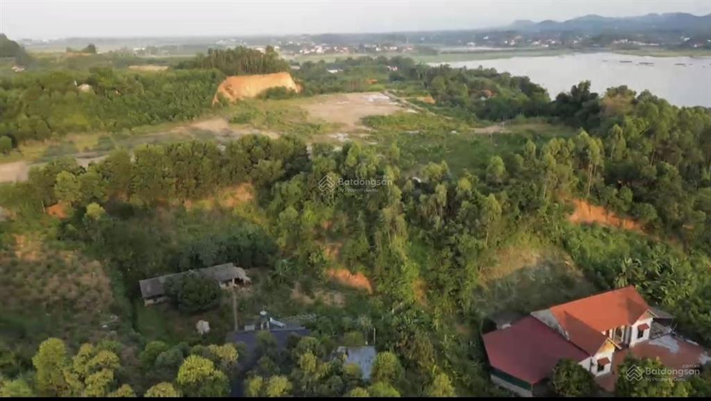 Gần 8ha dự án sản xuất gỗ tại phú thọ, đường xung quanh chỉ 50 tỷ. pháp lý đầy đủ sẵn xây dựng ngay