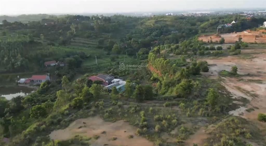 Gần 8ha dự án sản xuất gỗ tại phú thọ, đường xung quanh chỉ 50 tỷ. pháp lý đầy đủ sẵn xây dựng ngay