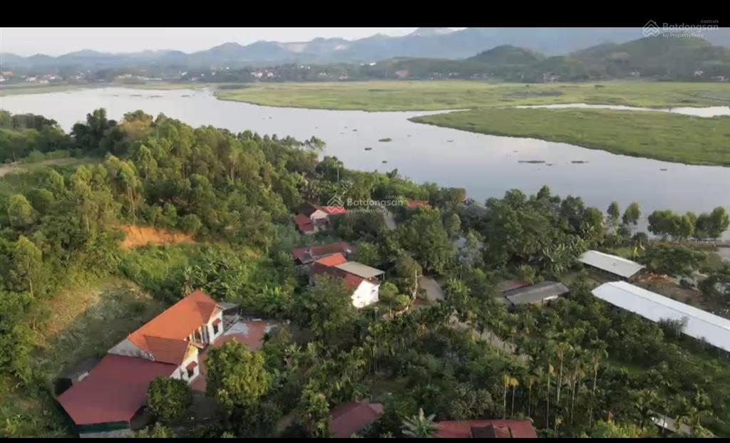 Gần 8ha dự án sản xuất gỗ tại phú thọ, đường xung quanh chỉ 50 tỷ. pháp lý đầy đủ sẵn xây dựng ngay