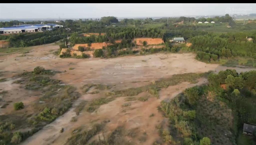 Gần 8ha dự án sản xuất gỗ tại phú thọ, đường xung quanh chỉ 50 tỷ. pháp lý đầy đủ sẵn xây dựng ngay