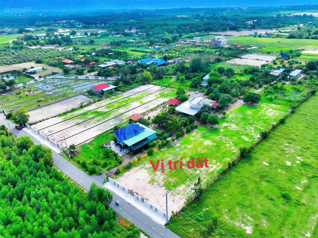 Bán đất 2972m2 tại long mỹ, thị trấn phước hải, 10,5 tỷ giá cực chất