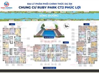 Chiết khấu ngoại giao ruby park 5%, tổng chiết khấu 13%, nhận giá từng căn
