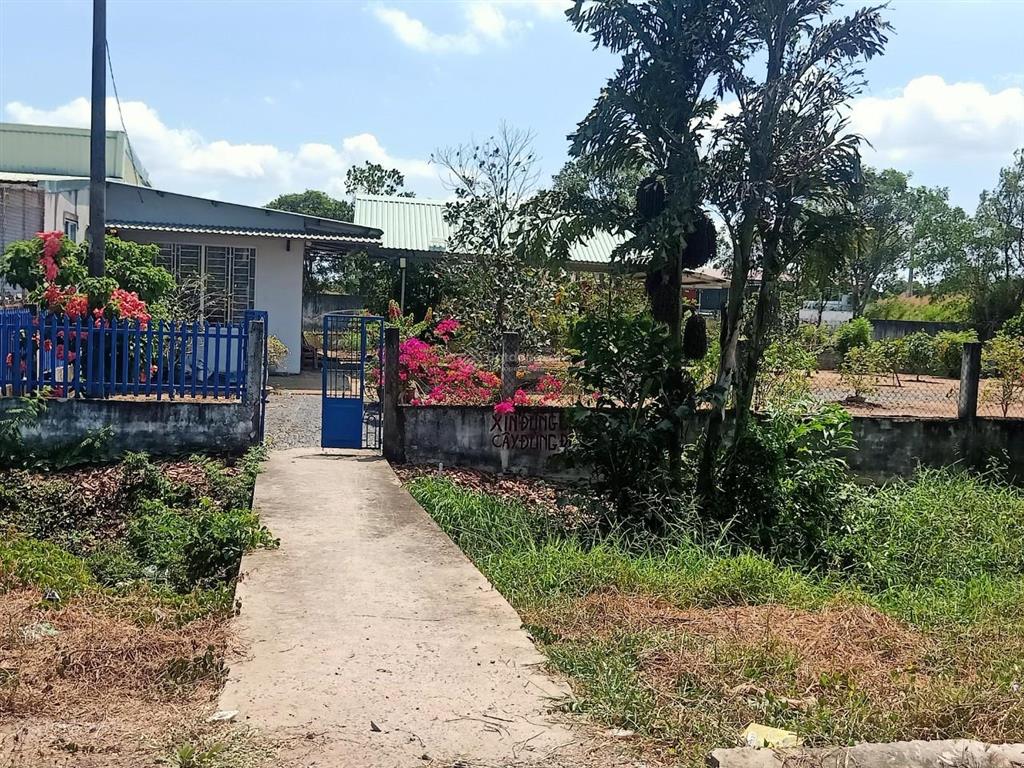 2 mt lộ bờ đai, 15m x 20m, xã phước lý, khu dân cư chợ mới gò đen.  0963 000 ***