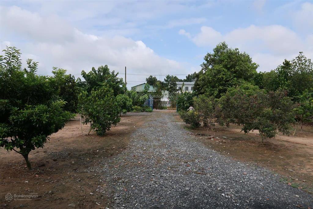 2 mt lộ bờ đai, 15m x 20m, xã phước lý, khu dân cư chợ mới gò đen.  0963 000 ***