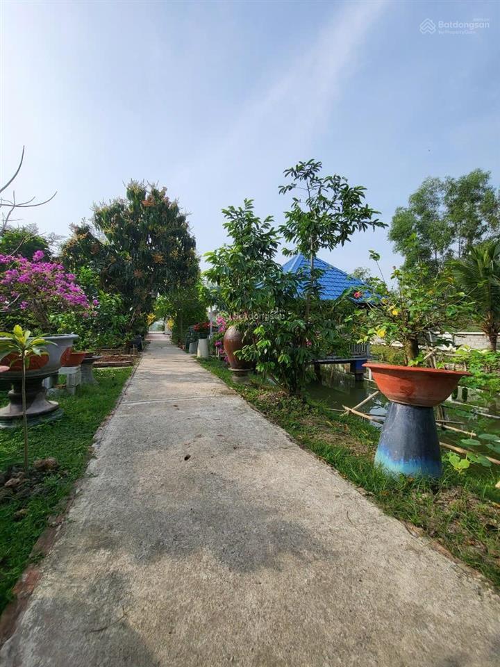 Bán nhà vườn 2200m2,sổ hồng riêng,có thổ cư 200m2,cách cao tốc bến lức  long thành 1,5km,hưng long