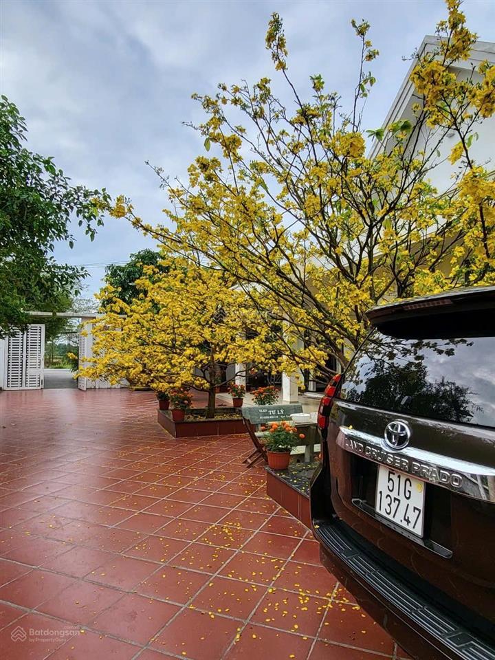 Bán nhà vườn 2200m2,sổ hồng riêng,có thổ cư 200m2,cách cao tốc bến lức  long thành 1,5km,hưng long