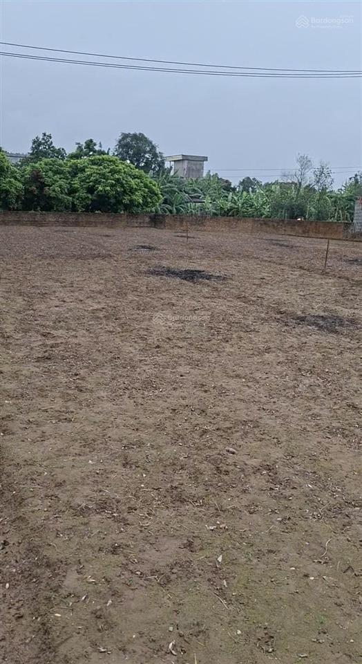 Bán đất thổ cư thôn nhất trai bắc ninh, phân lô được 4 nền, giá đầu tư