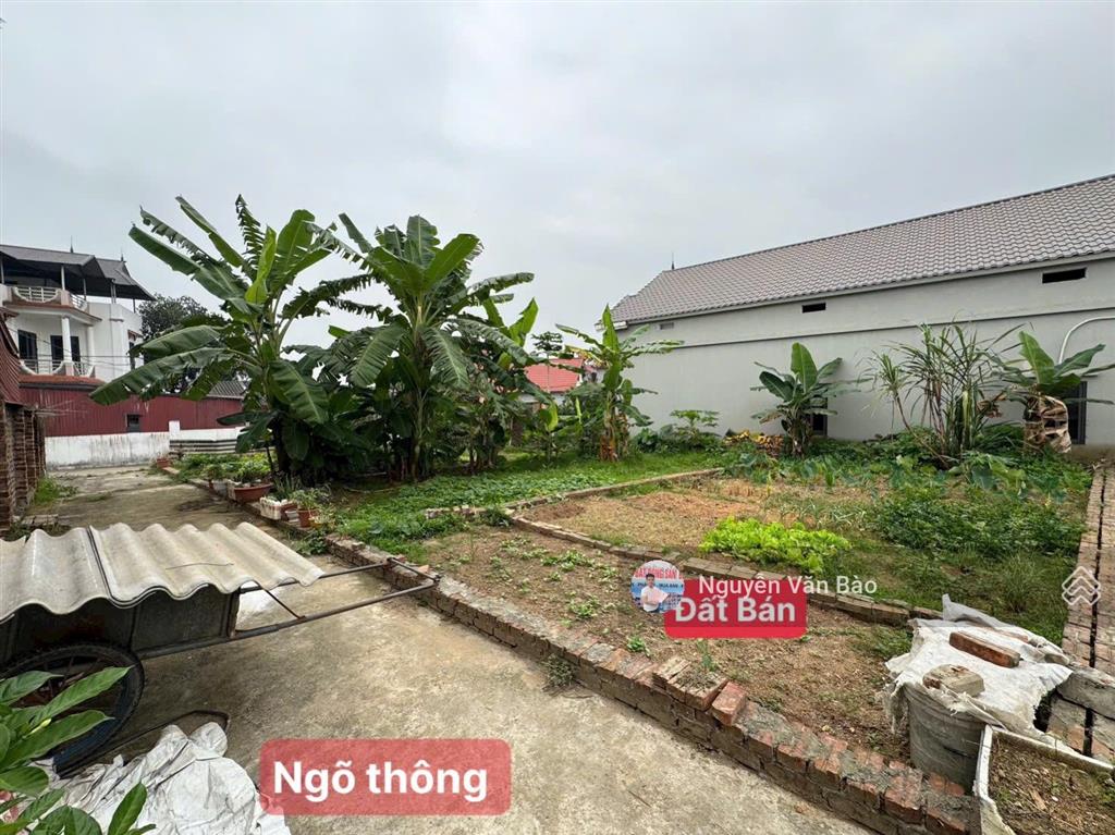 Bán đất thanh lại cộng hòa phù linh, sóc sơn