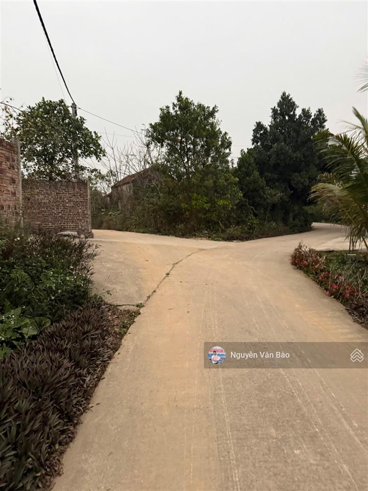 Siêu phẩm gần 500m2 tại sóc sơn, hà nội