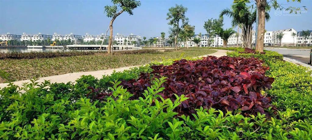 Tổng hợp quỹ căn liền kề biệt thự shophouse giá tốt để đầu tư tháng 4/2026
