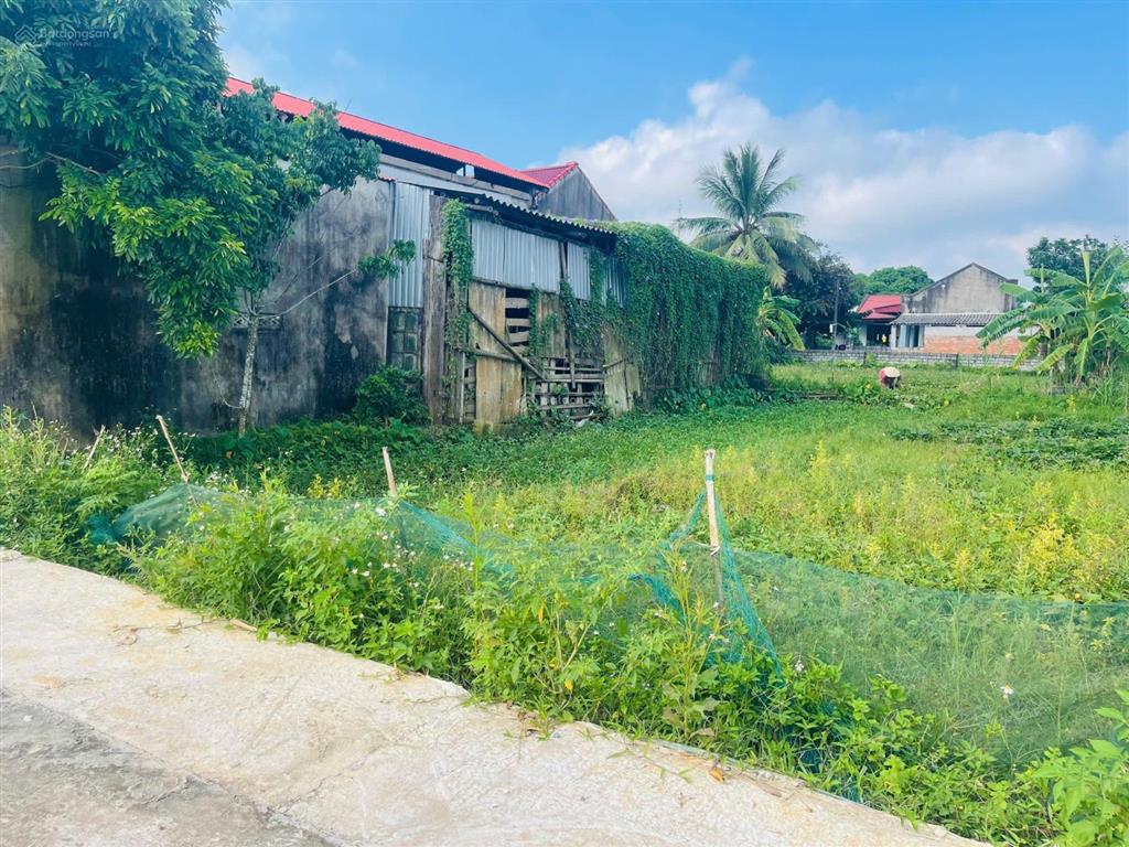 Bán đất 216m² tại xã thọ ngọc (thọ cường cũ), triệu sơn. sổ hồng, giá chỉ 690 triệu