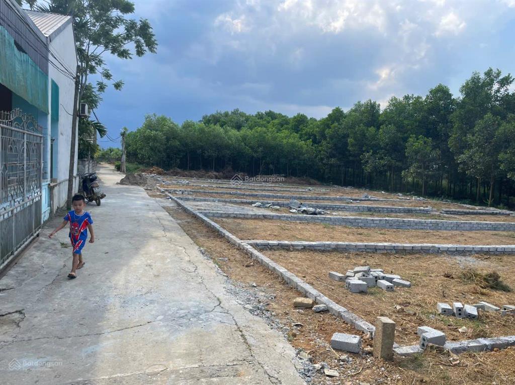 Bán đất lõi kcn lam sơn  sao vàng 537ha, sổ riêng, 116m², chỉ 280 triệu/lô