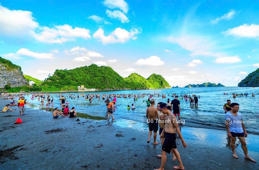Chuyển nhượng mảnh đất tmdv rất hiếm bãi biển tùng thu, cát bà. quy hoạch 25 tầng, đầu tư tiềm năng
