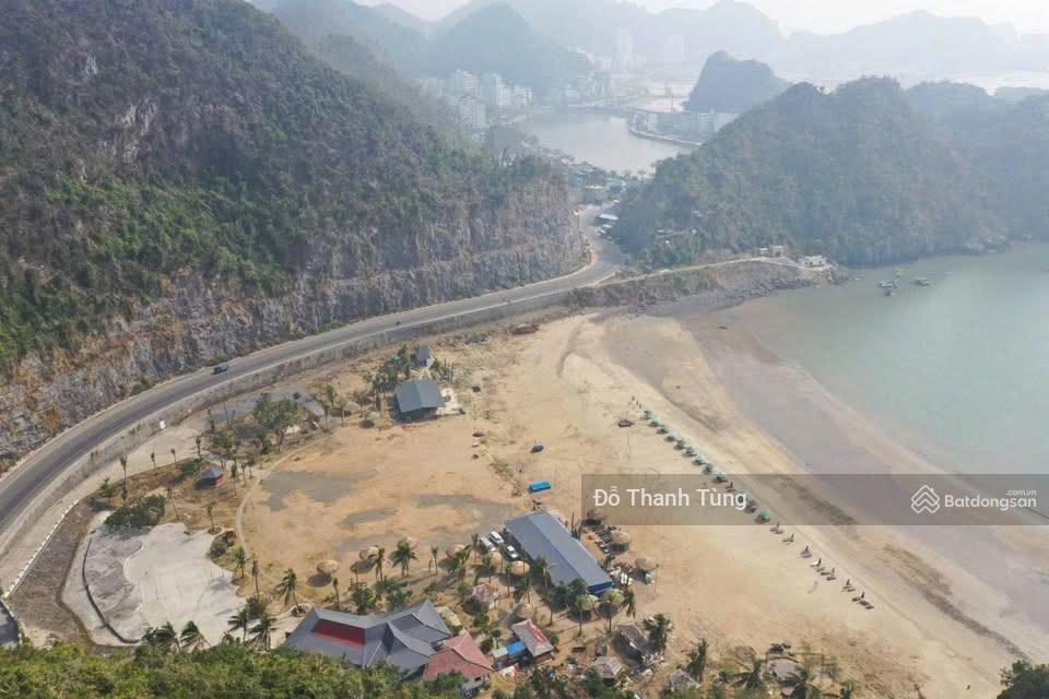 Chuyển nhượng mảnh đất tmdv rất hiếm bãi biển tùng thu, cát bà. quy hoạch 25 tầng, đầu tư tiềm năng