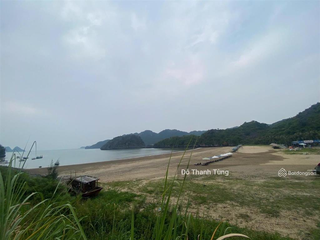 Chuyển nhượng mảnh đất tmdv rất hiếm bãi biển tùng thu, cát bà. quy hoạch 25 tầng, đầu tư tiềm năng