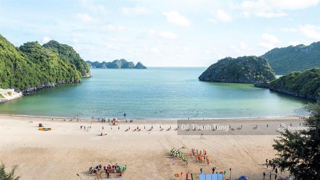 Chuyển nhượng mảnh đất tmdv rất hiếm bãi biển tùng thu, cát bà. quy hoạch 25 tầng, đầu tư tiềm năng