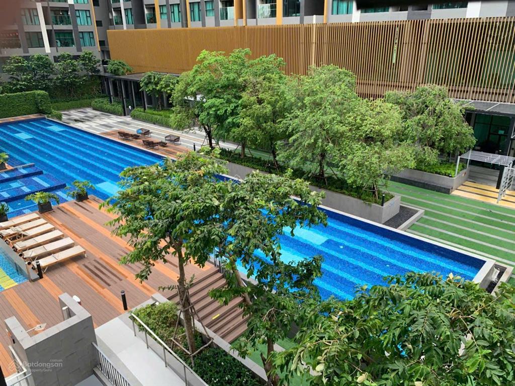 Cho thuê căn hộ de la sol 2pn ntcb 19,5 triệu/tháng