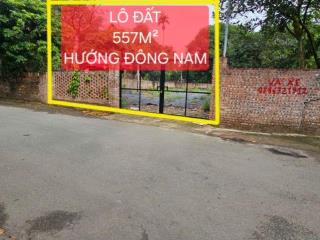 Bán đất trung tâm Làng Bầu, Liên Bảo, Vĩnh Yên, Vĩnh Phúc. DT 557,1m2 hướng Đông Nam