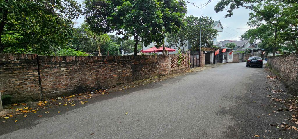 Bán đất trung tâm Làng Bầu, Liên Bảo, Vĩnh Yên, Vĩnh Phúc. DT 557,1m2 hướng Đông Nam
