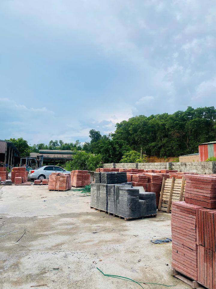 Bán đất thương mại dịch vụ tại Định Trung, Vĩnh Yên, Vĩnh Phúc.