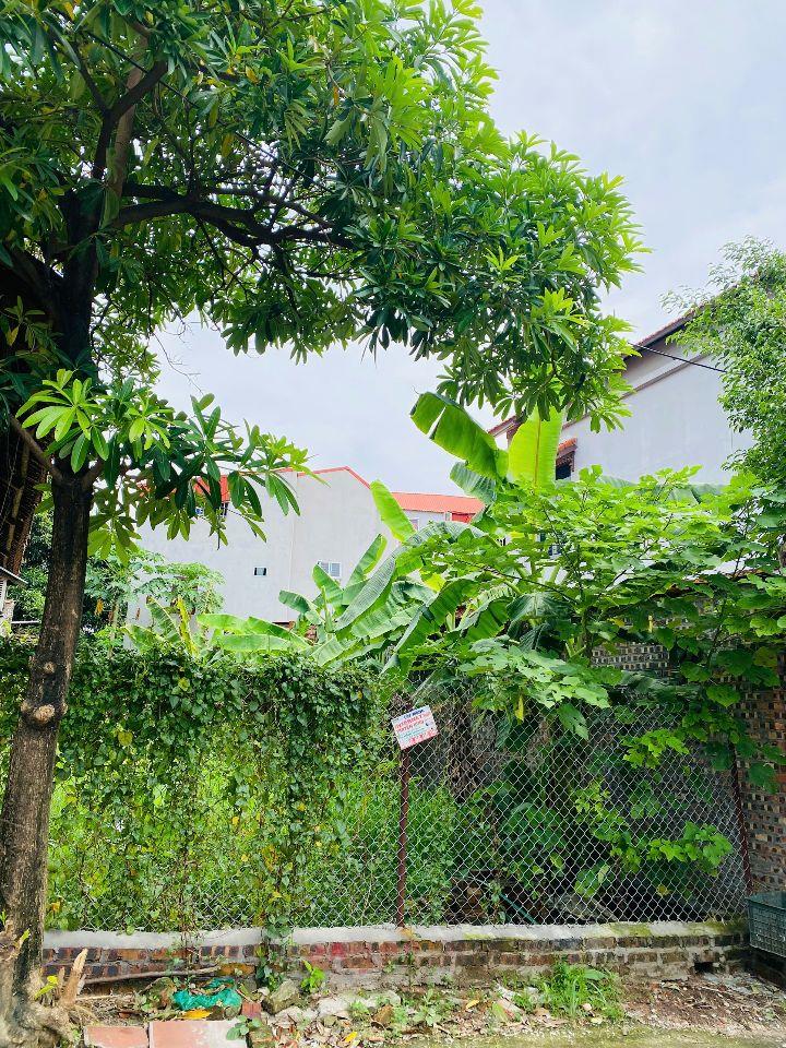 Bán đất ngõ 10 Tô Hiến Thành, Đông Hưng, Đồng Tâm, Vĩnh Yên, Vĩnh Phúc