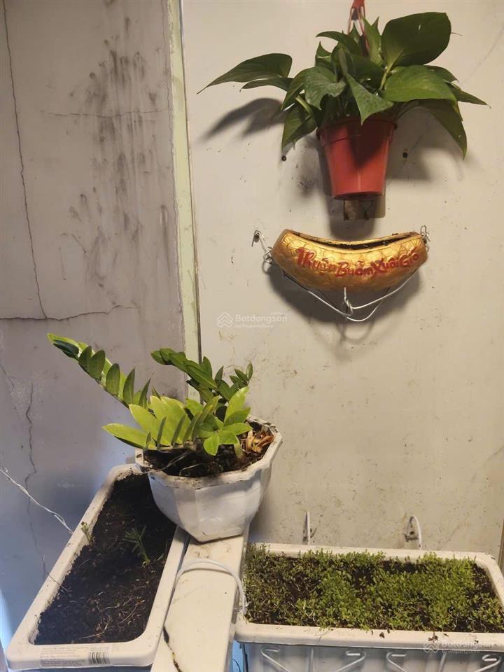 Bán nhà đẹp bờ bao tân thắng trệt lầu shr ngay aoen giá 2 tỷ5 phù hợp gd nhỏ
