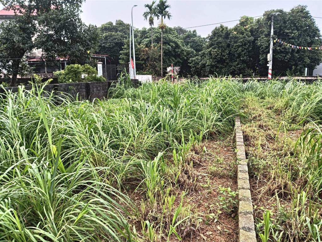 Bán đất thổ cư mặt đường hồ chí minh thôn tân lập, xã trần phú, hà nội