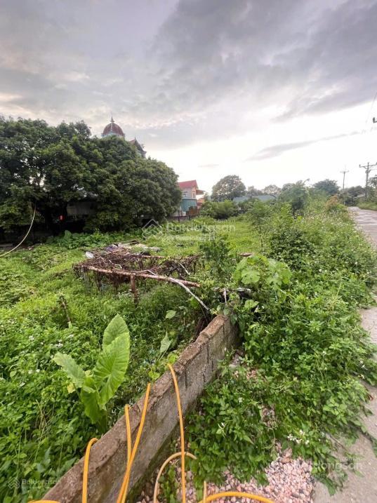 Bán đất thổ cư mặt đường hồ chí minh thôn tân lập, xã trần phú, hà nội