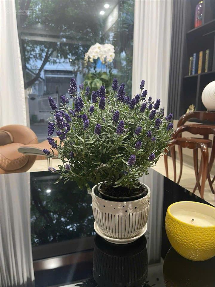 Bán biệt thự song lập vinhomes riverside chỉ 60 tỷ 165m