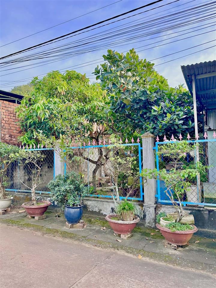 Bình sơn vị trí đẹp, thổ cư  sổ riêng giá siêu đầu tư (cần bán nhanh)