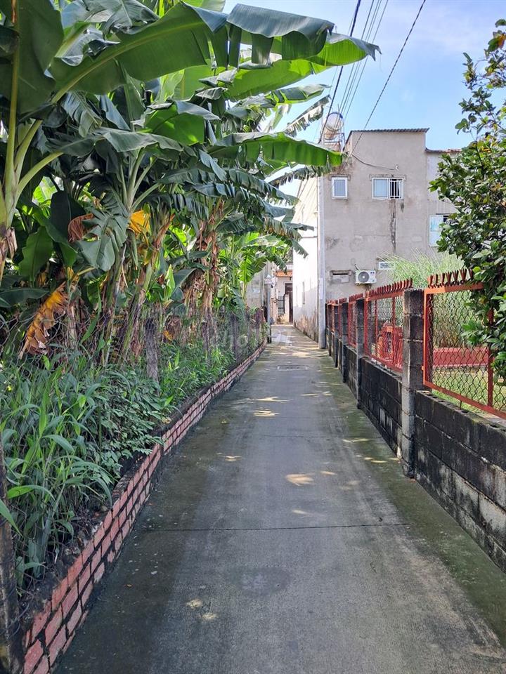 Cho thuê nhà nguyên căn, sạch sẽ yên tĩnh và an ninh