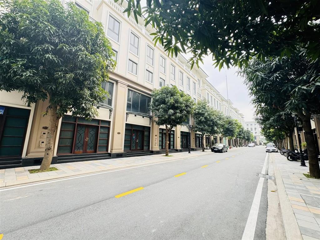 Bán gấp shophouse vinhomes ocean park 3 đối diện 10 tòa chung cư masteri đang xây ~ 5000 căn hộ