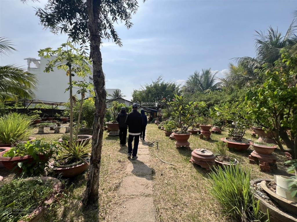 Bán đất mặt tiền kinh 10 tại xã lê minh xuân 17x60m nở hậu 80m giá ưu đãi 13 tỷ